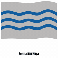 La Coruna Flag GIF by Formación Ninja