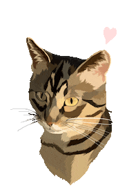 Cat Adopt Sticker by Watertown Humane Society