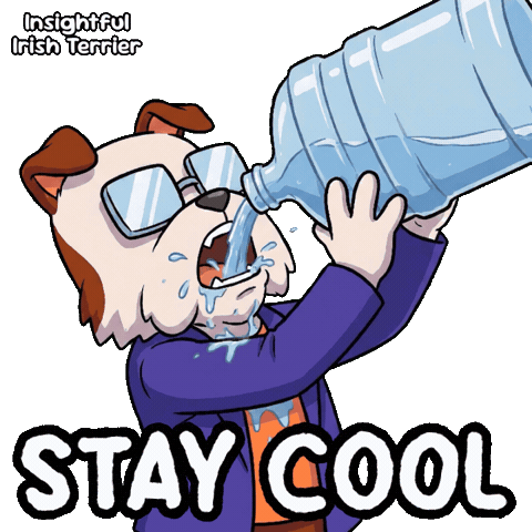 Stay Hydrated Drink Water Sticker by VeeFriends