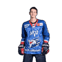 Nick Mähler Sticker by Adler Mannheim