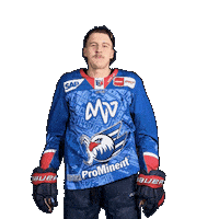 Leon Gawanke Sticker by Adler Mannheim