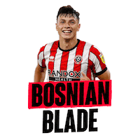 Ahmedhodzic Sticker by Reprezentacija Ba