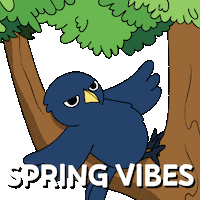 Bitcoin Spring Sticker by Ordinary Frends