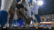 softball bruins GIF by NCAA Championships