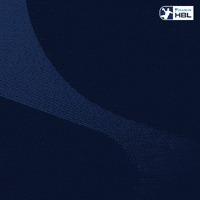 Handball GIF by DAIKIN HBL