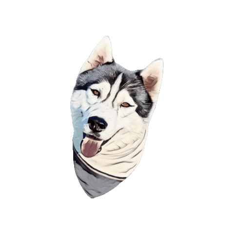 Belluccifriends Sticker by Bellucci Manila