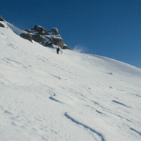 GIF by Thredbo