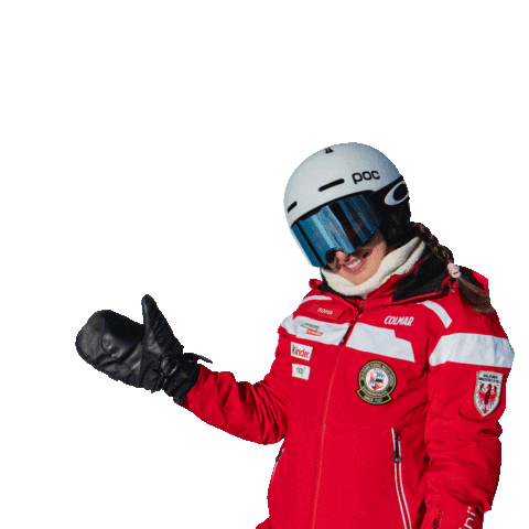 scuolasciselva selva skischule skischool sciare Sticker