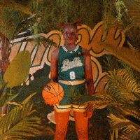 Womens Basketball GIF by USF Athletics