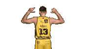 Basketball Koszykowka Sticker by Trefl Sopot