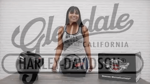 harley davidson GIF