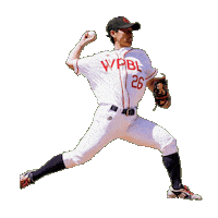 Los Angeles Japan Sticker by This is Women's Baseball