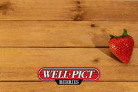 WellPict well true taste strawberries GIF