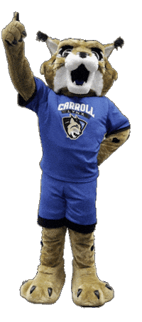 Excited Lets Go Sticker by Carroll Community College