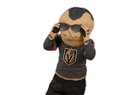 Ice Hockey Sport Sticker by NHL