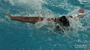 pool swimming GIF by GreenWave