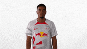 Football No GIF by RB Leipzig