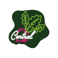 central_coop seattle independent grocery beet Sticker