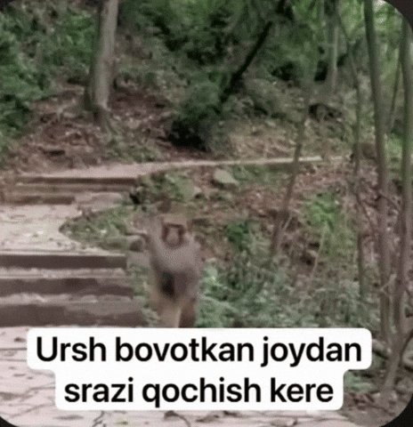 Uzbek Uz GIF