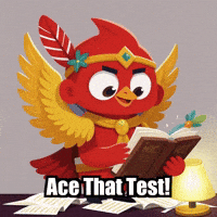 Education Study GIF by The Cardinal Virtue