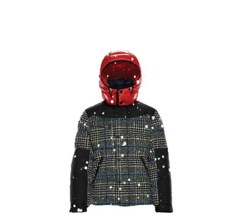 winter genius Sticker by Moncler