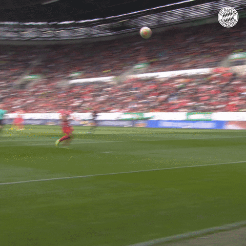 Manuel Neuer Football GIF by FC Bayern Munich