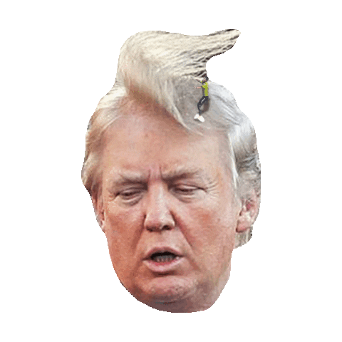 Donald Trump Sticker by imoji