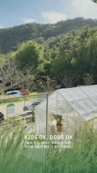 Fruiterie GIF