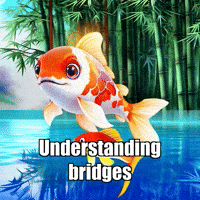 Confishius Character GIF by TheConfishius