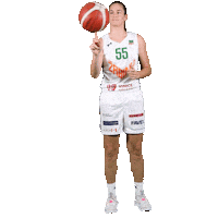 Basketball Sticker by Zabiny Brno