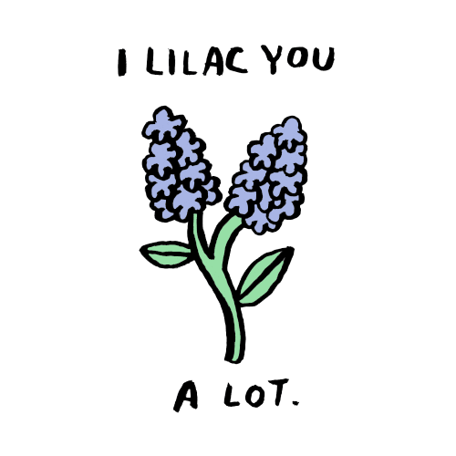 I Like You Flower Sticker by Aerie