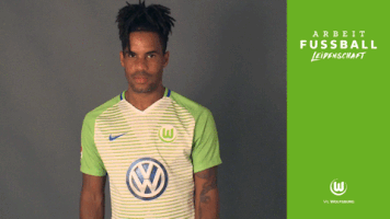daniel didavi no GIF by VfL Wolfsburg