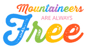 Gay Pride Rainbow Sticker