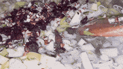 Food Holiday GIF by Good Morning America