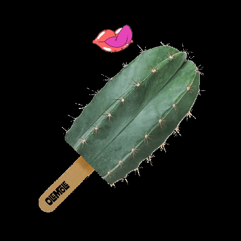 OleMole giphygifmaker giphyattribution tacos cactus GIF