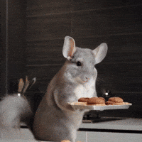 Cookie Sue GIF