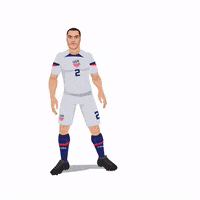 World Cup Football GIF by Panini America