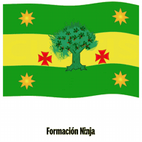 La Coruna Flag GIF by Formación Ninja