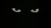ScribeMag drama ghost history the mummy GIF