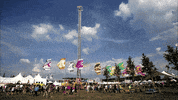 loop festival GIF by Pukkelpop