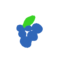 grapes dangle Sticker