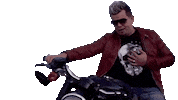 Alemao Do Forro Sticker by rededoriso