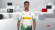 Line Up Reaction GIF by Bundesliga