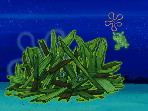 season 4 episode 10 GIF by SpongeBob SquarePants