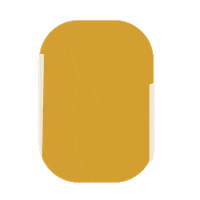 California Camping Sticker by revolve