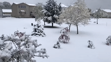 'Unusual' Spring Snowfall Covers Central Ohio