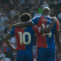 Premier League Hug GIF by Crystal Palace Football Club
