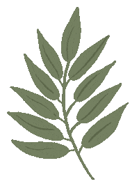 Verde Planta Sticker by Leohestudio