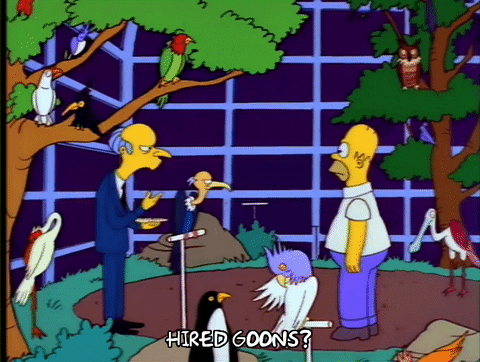 giphy.gif