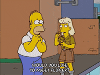 homer simpson GIF